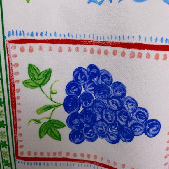 Anthropologie Maeve Sleeveless fruit Mini Shift Dress SIZE XL NWT - Picture 9 of 10